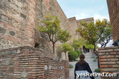 The Alcazaba of Malaca, Spain; Islamic style castle