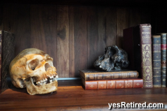 Skuls, BioPark zoo, Fuengirola, Spain