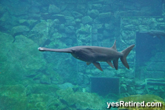 BioPark zoo, Fuengirola, Spain