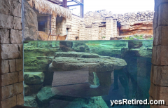 Otter tank, BioPark zoo, Fuengirola, Spain