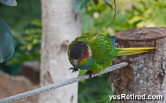 BioPark zoo, Fuengirola, Spain