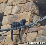 BioPark zoo, Fuengirola, Spain