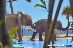 Pool side Elephant theme, Holiday World resort, Coastal walk, BenalmádenaMálagaSpain