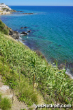 Bamboo erosion cover, Coastal walk, BenalmádenaMálagaSpain
