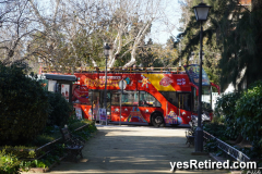 Sightseeing Bus, hoponhopoff, Seville, Spain, 2024