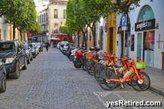 Bicycles, Seville, Spain, 2024