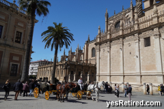 Gothic Cathedral, Catedral de Sevilla, Seville, Spain, 2024