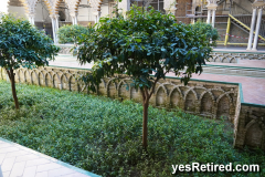 Royal Alcázar Palace, Seville, Spain, 2024
