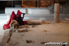 Roman Ruins 30 AD, preserved under mushroom, Antiqvarivm, Seville, Spain, 2024