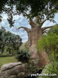 "Tree of Life" baobab tree, Bioparc Fuengirola, Zoo, Fuengirola, Malaga, Spain, Winter 2024