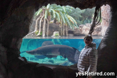 Giant Fish tank, Bioparc Fuengirola, Zoo, Fuengirola, Malaga, Spain, Winter 2024