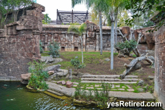 Tiger pen ,Bioparc Fuengirola, Zoo, Fuengirola, Malaga, Spain, Winter 2024; artistic