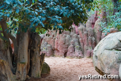 Termite nest, Bioparc Fuengirola, Zoo, Fuengirola, Malaga, Spain, Winter 2024; Artistic
