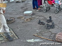 Snakes, Marikesh, Morocco, 2024