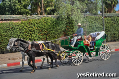 Many Horse drawn carriages, Marrakech, Morocco, 2024