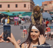 Monkey photo op, Marrakech, Morocco, 2024